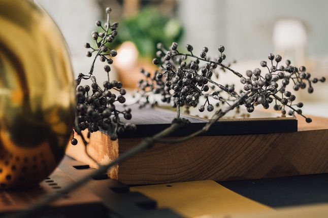 Top Vision Instore Trendy optical shop aesthetics